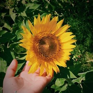 Meet your Posher, Sierra